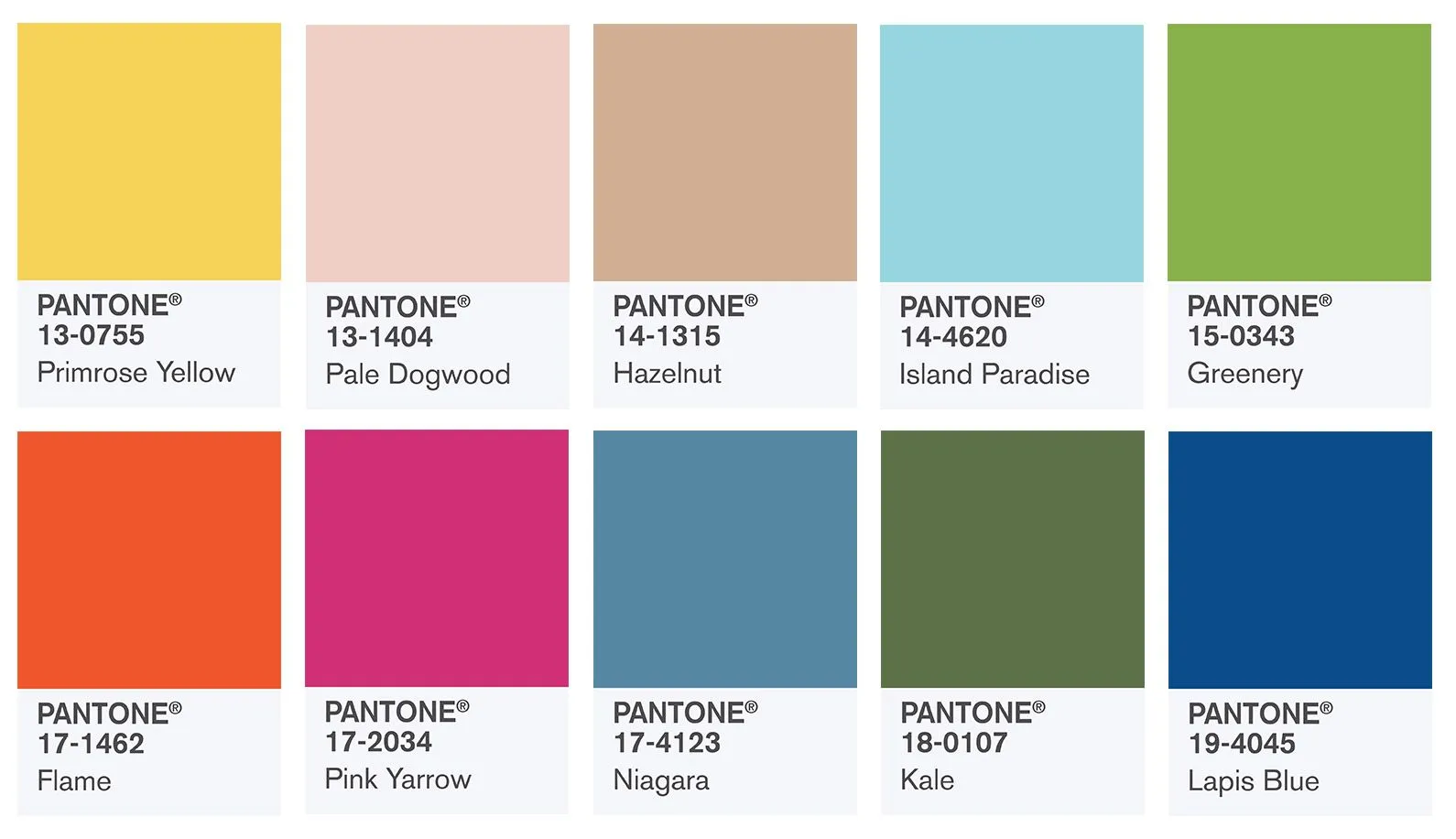 Paleta colors Pantone